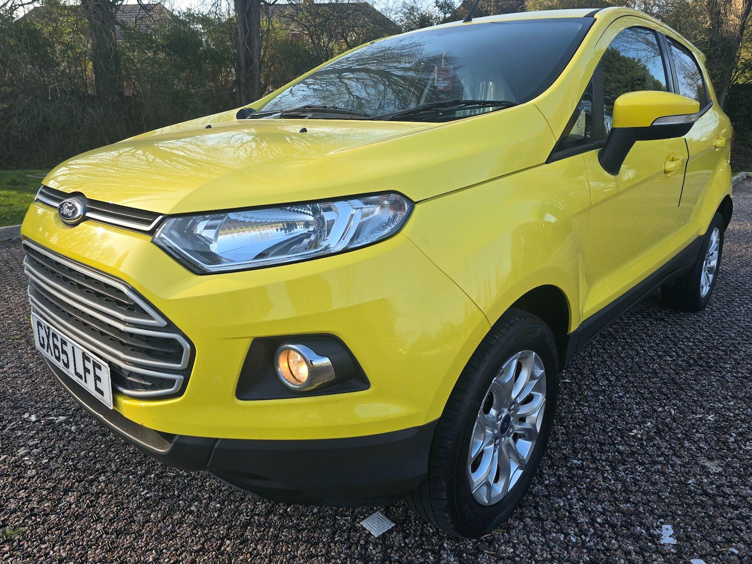 Used Ford Ecosport 2015 for sale - 77768563: Photo 33