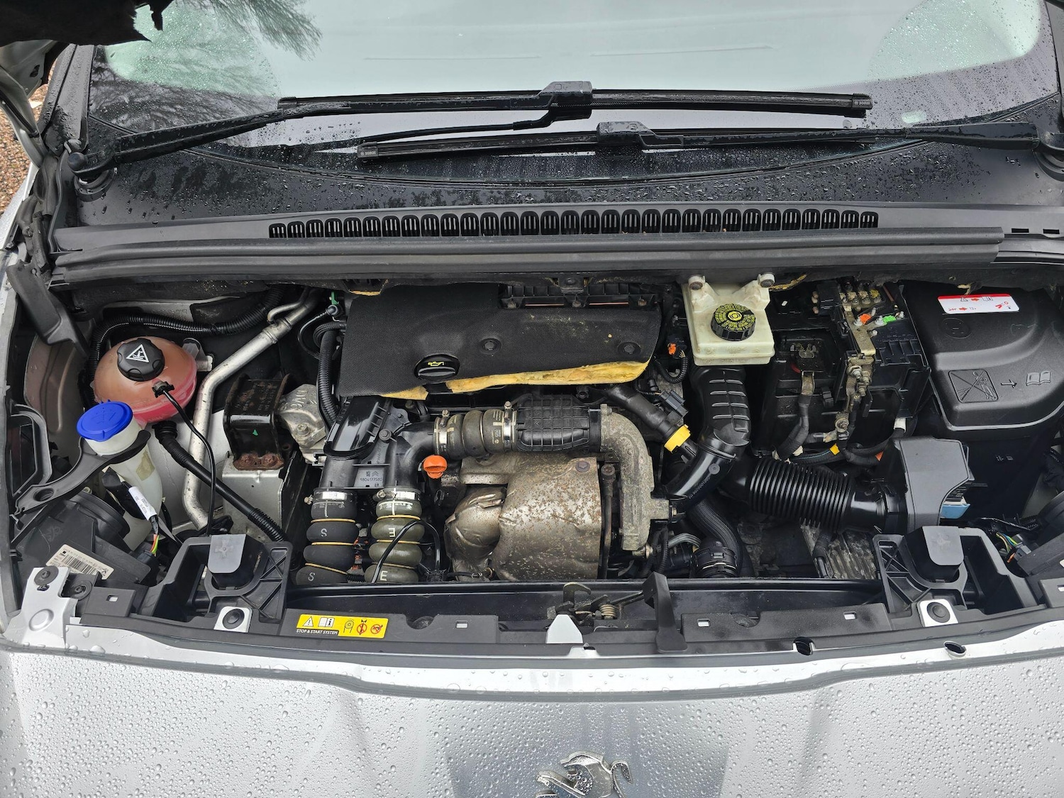 Used Peugeot 5008 2016 for sale - 77538163: Photo 43