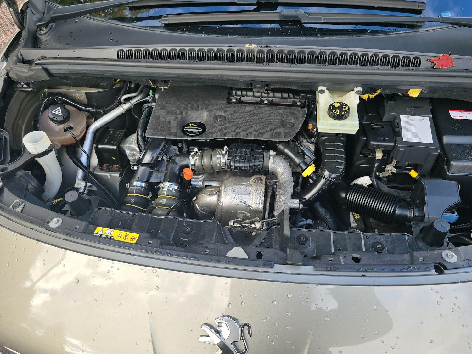 Used Peugeot 3008 2016 for sale - 76109893: Photo 42