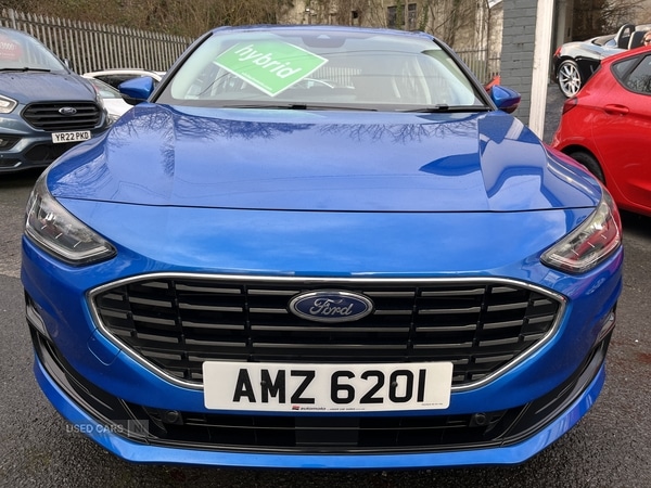 Used Ford Focus 2023 for sale - 77724380: Photo 7