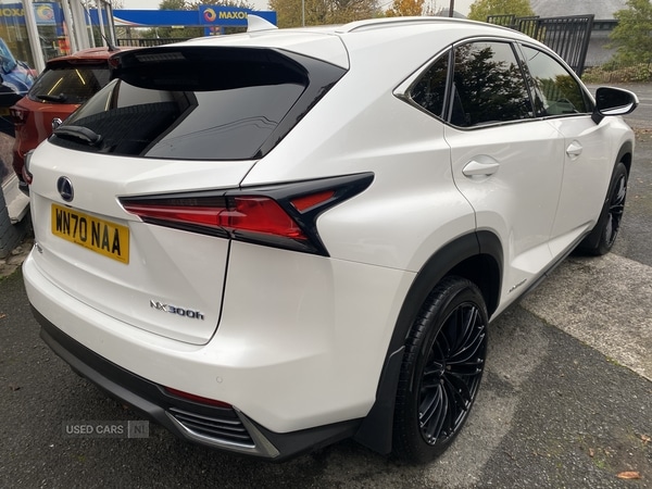 Used Lexus NX 2020 for sale - 76308795: Photo 3