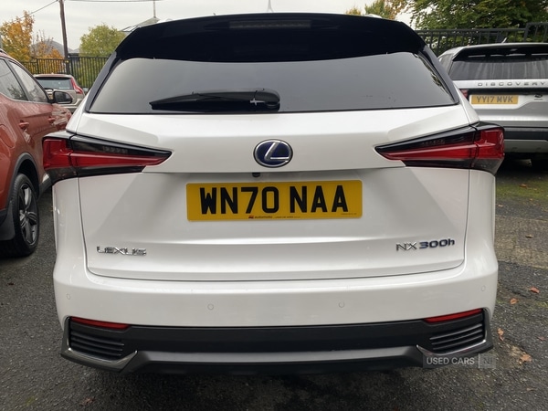 Used Lexus NX 2020 for sale - 76308795: Photo 4