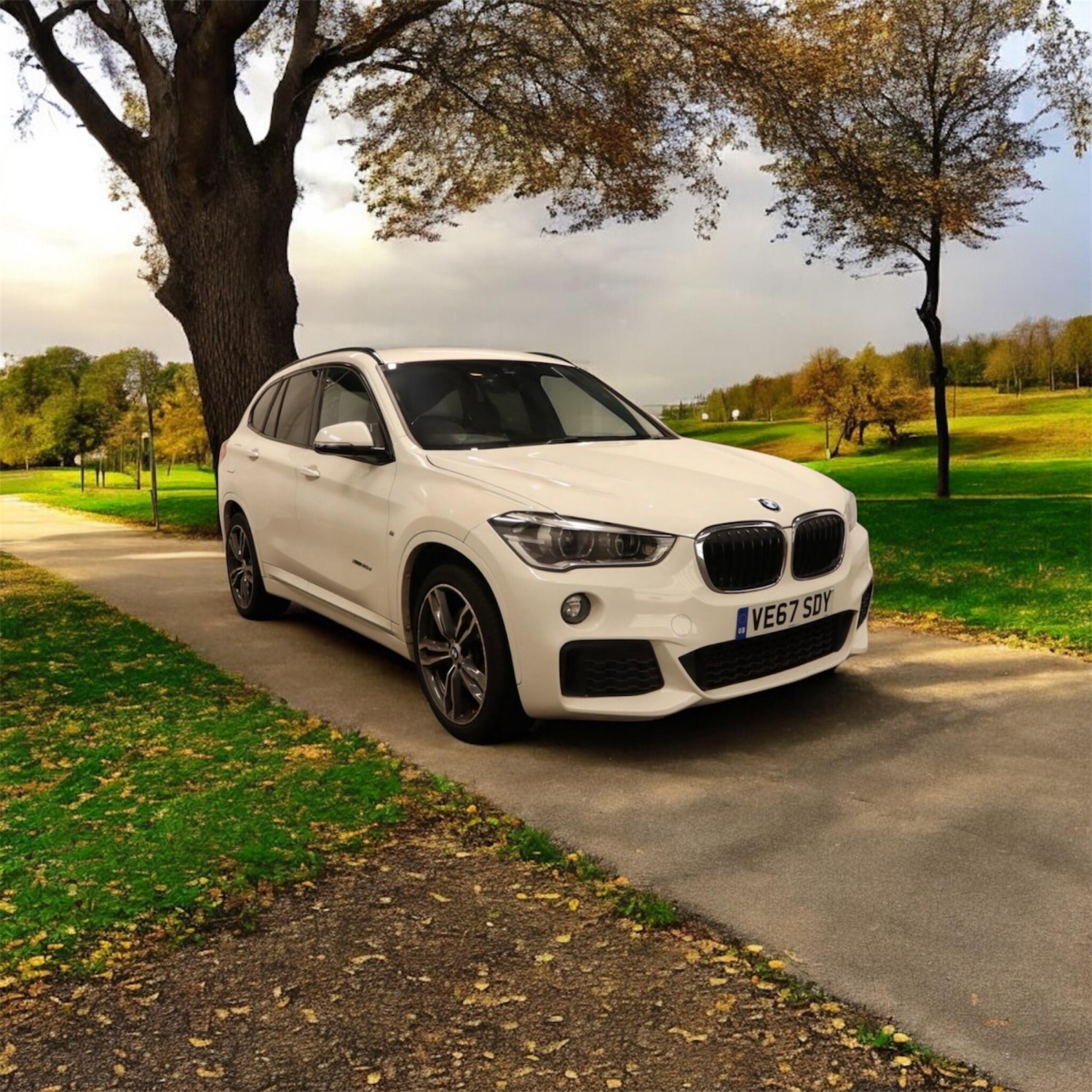 Used BMW X1 2017 for sale - 78083946: Photo 2
