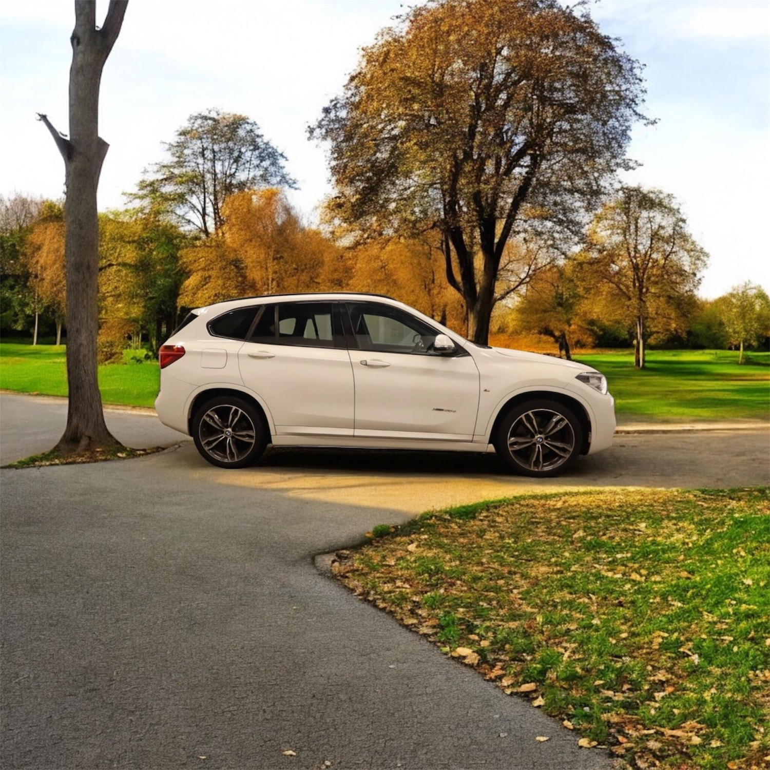 Used BMW X1 2017 for sale - 78083946: Photo 6