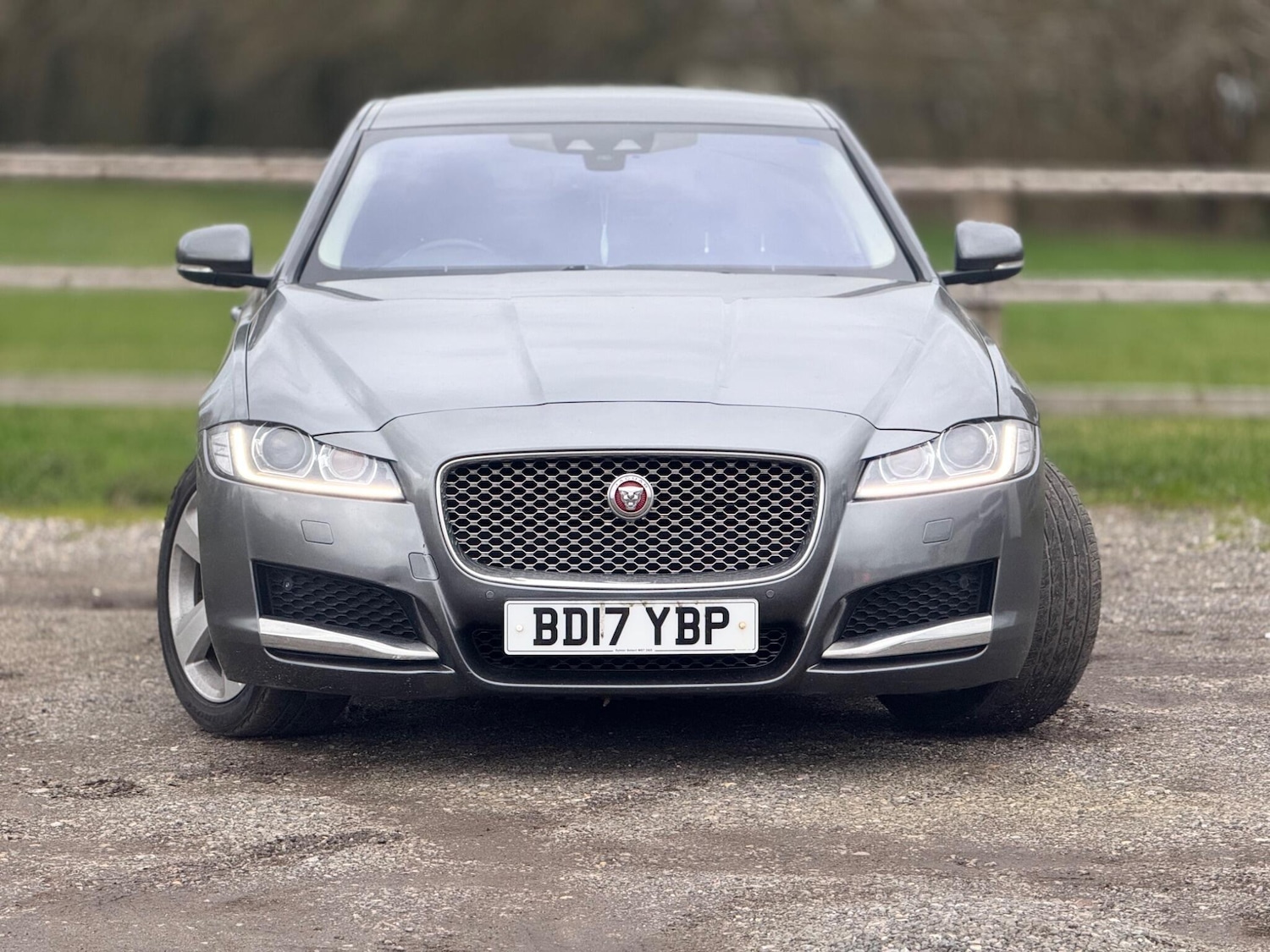 Used Jaguar XF 2017 for sale - 78083969: Photo 6