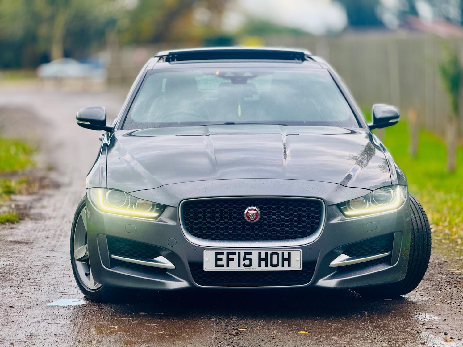 Used Jaguar XE 2015 for sale - 78083932: Photo 5