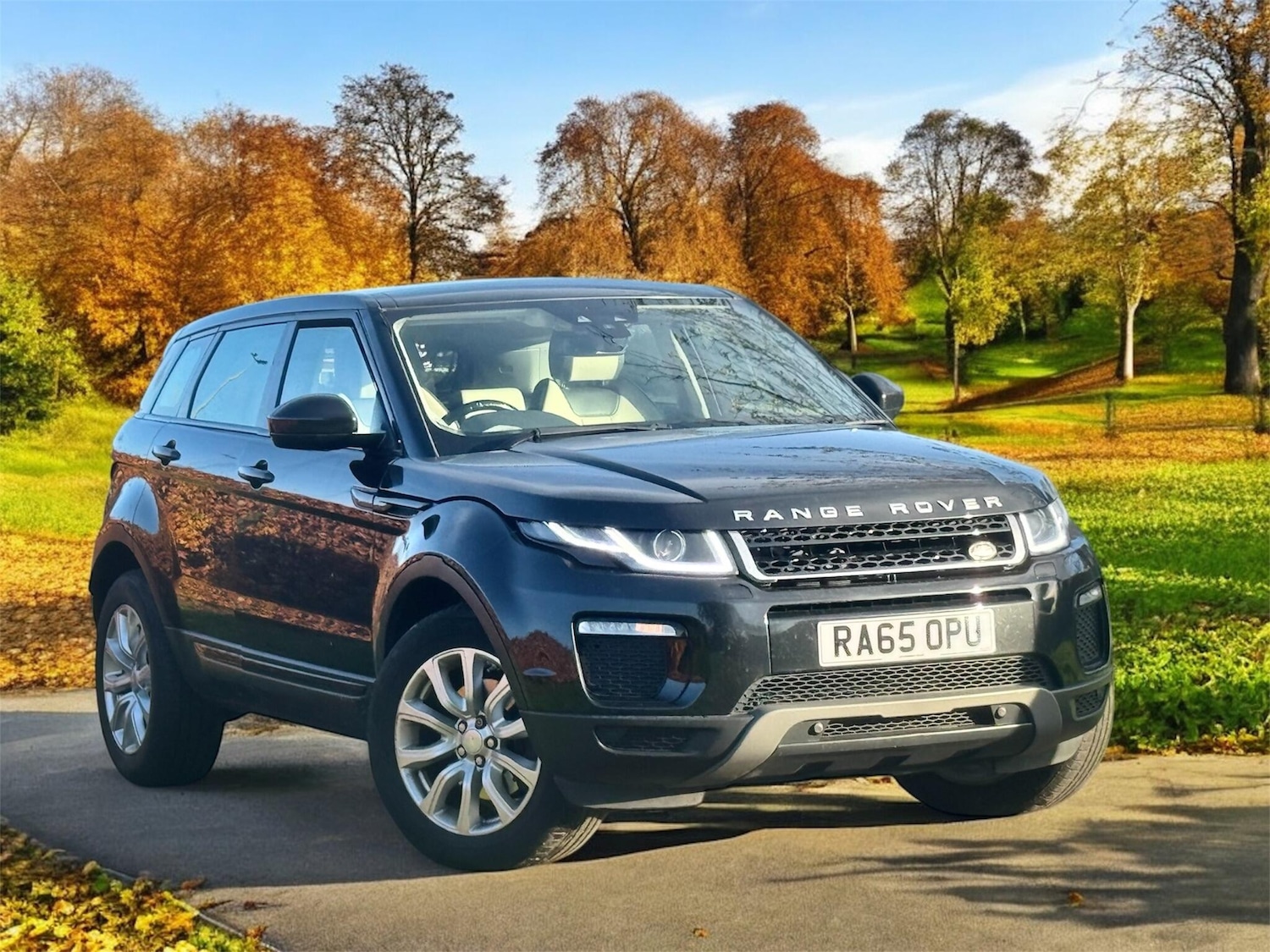 Used Land Rover Range Rover Evoque 2016 for sale - 78083913: Photo 5