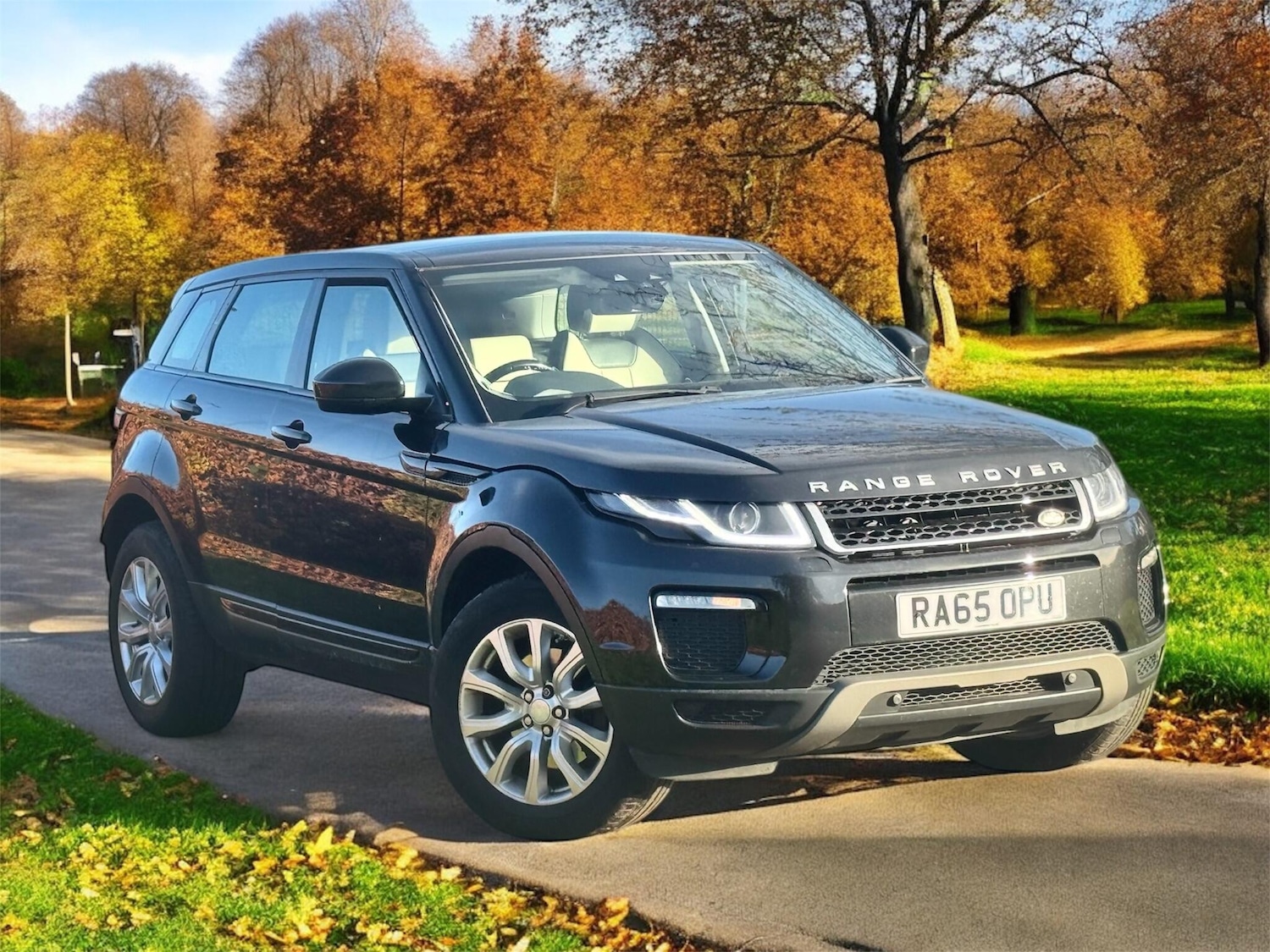 Used Land Rover Range Rover Evoque 2016 for sale - 78083913: Photo 7