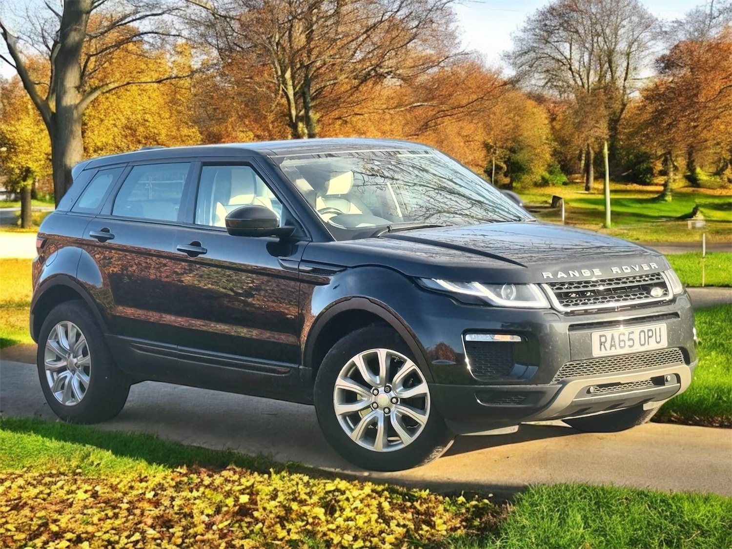 Used Land Rover Range Rover Evoque 2016 for sale - 78083913: Photo 8