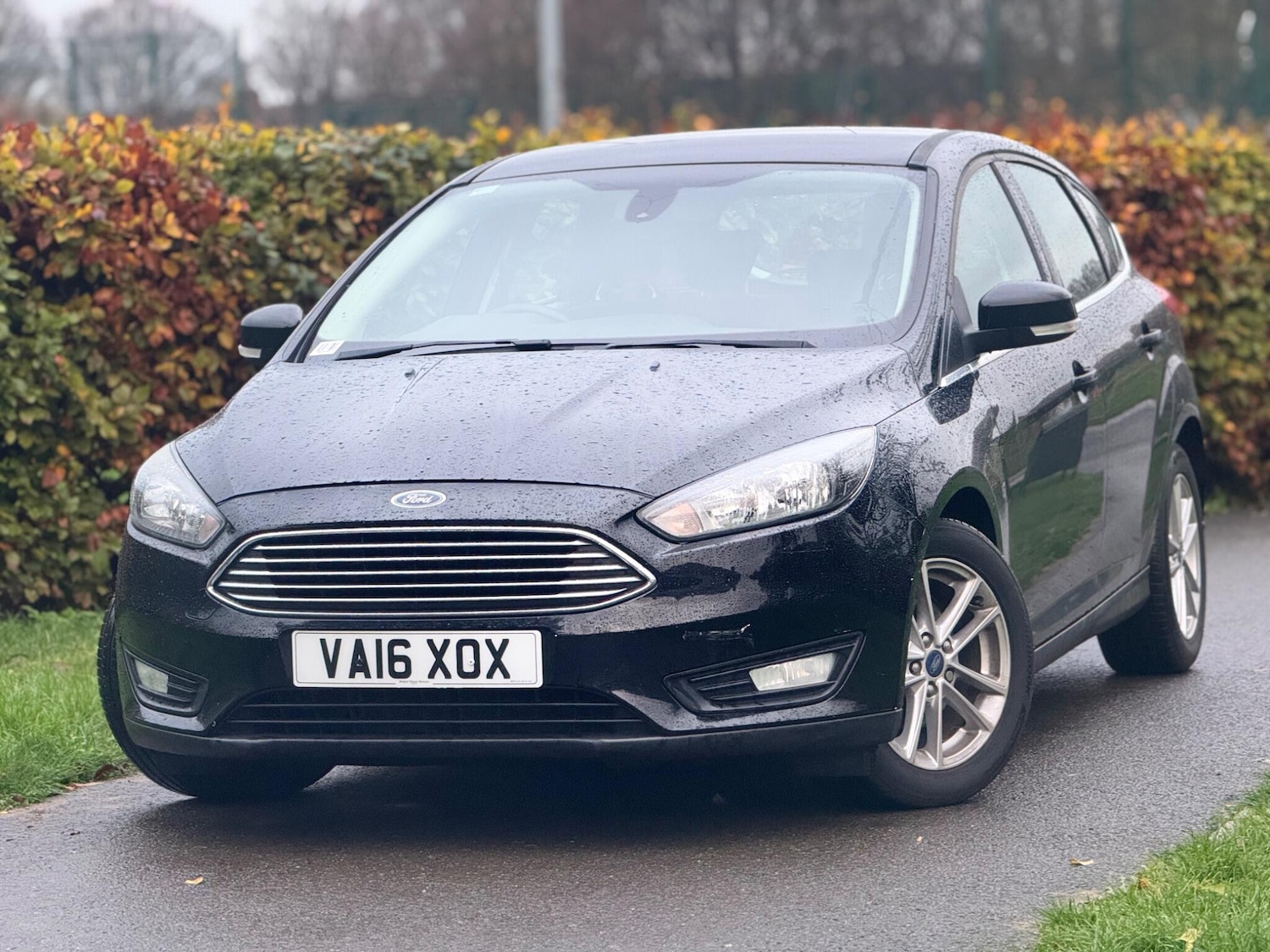 Used Ford Focus 2016 for sale - 78083904: Photo 11