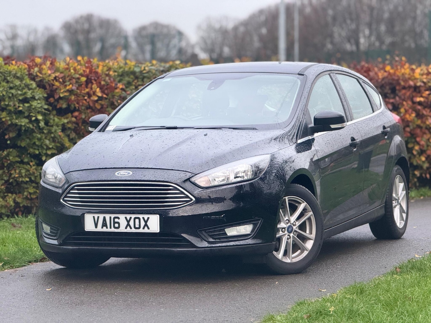 Used Ford Focus 2016 for sale - 78083904: Photo 12