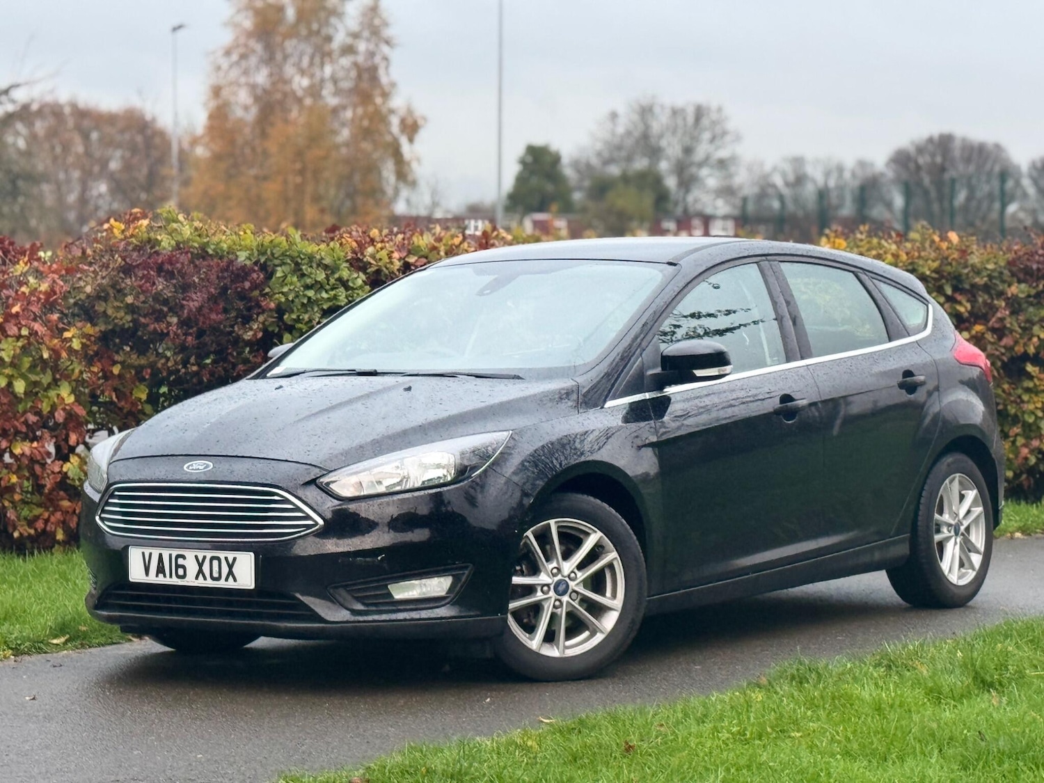 Used Ford Focus 2016 for sale - 78083904: Photo 15