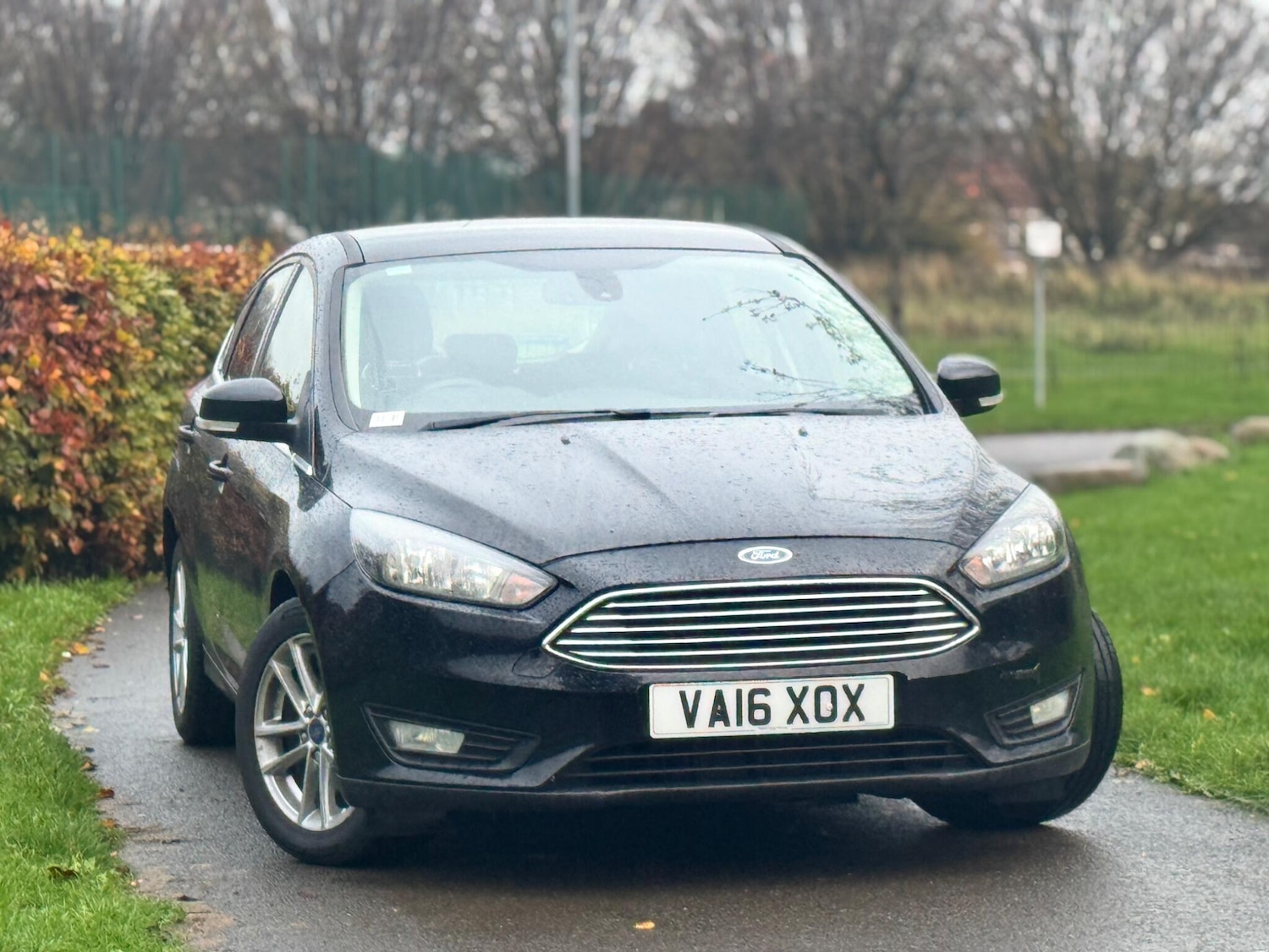 Used Ford Focus 2016 for sale - 78083904: Photo 16