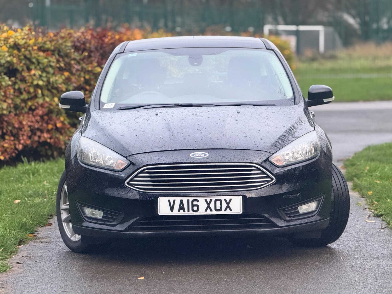 Used Ford Focus 2016 for sale - 78083904: Photo 5