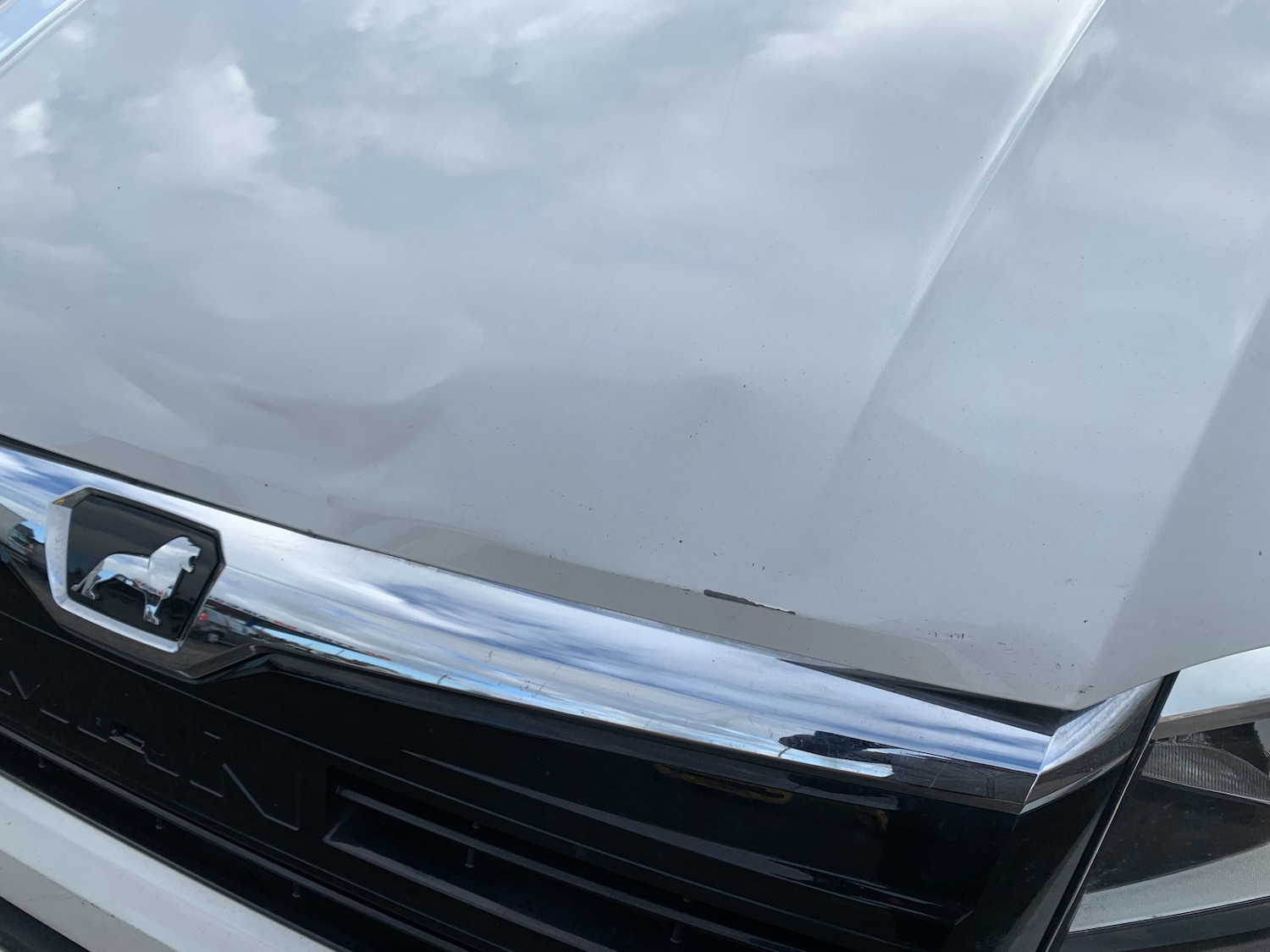 Used MAN TGE 2021 for sale - 76748697: Photo 16