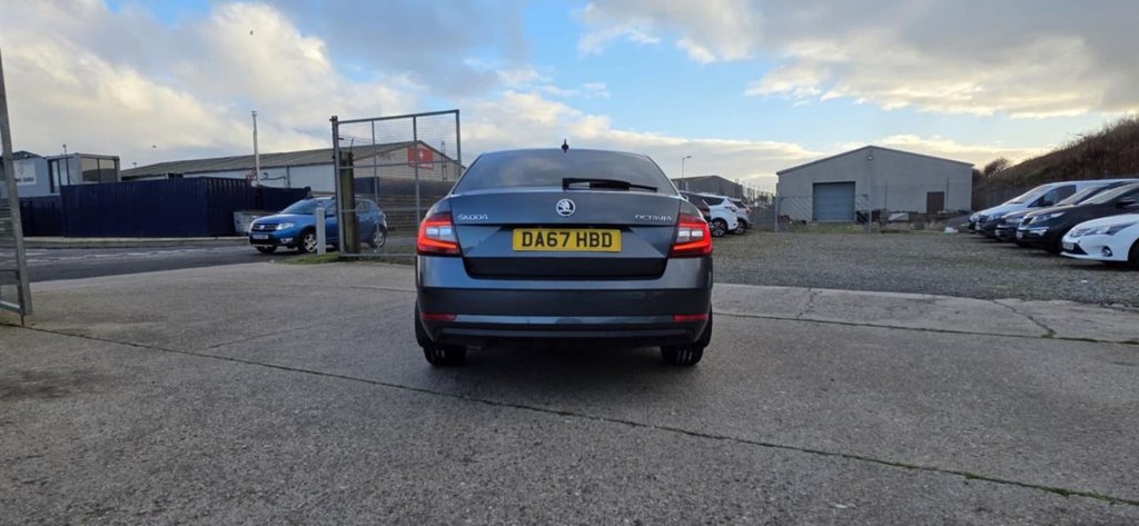 Used Skoda Octavia 2017 for sale - 76855146: Photo 4