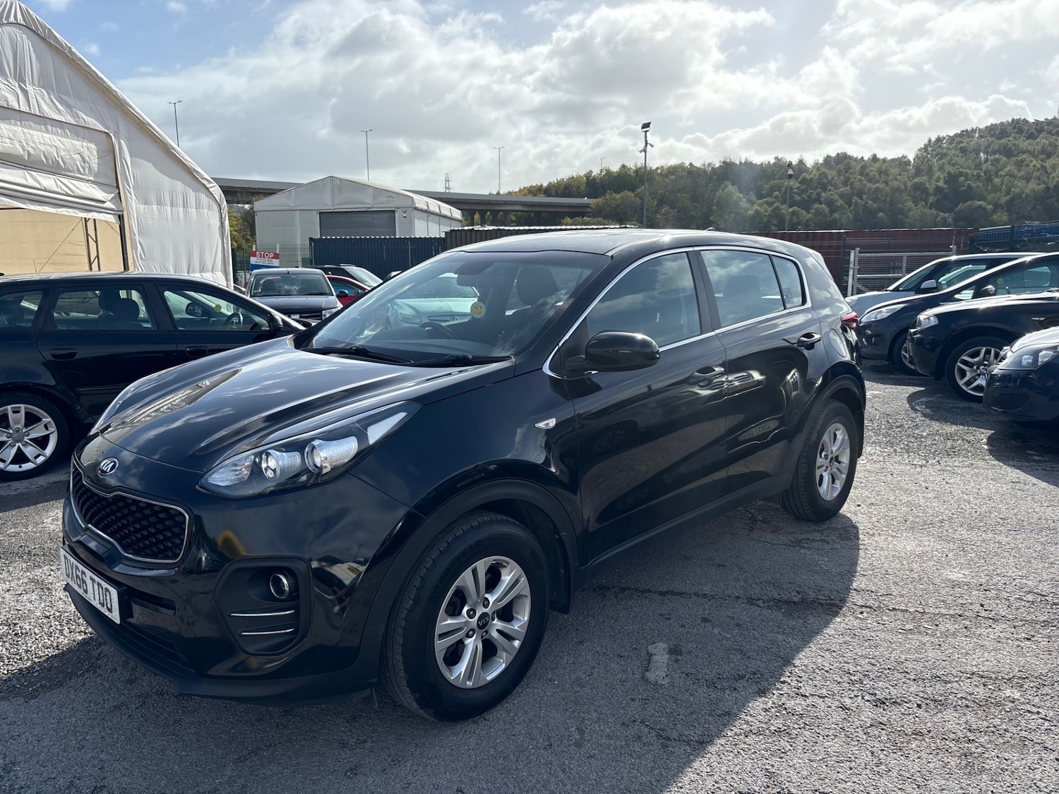 Used Kia Sportage 2016 for sale - 76058311: Photo 7