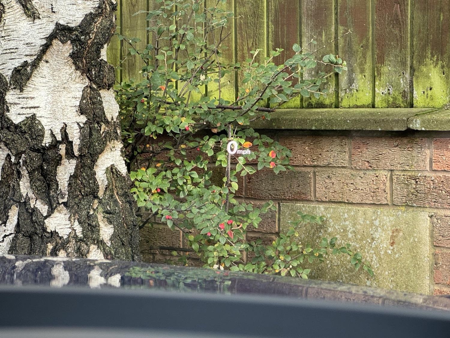 Used Audi A7 2015 for sale - 76482929: Photo 14