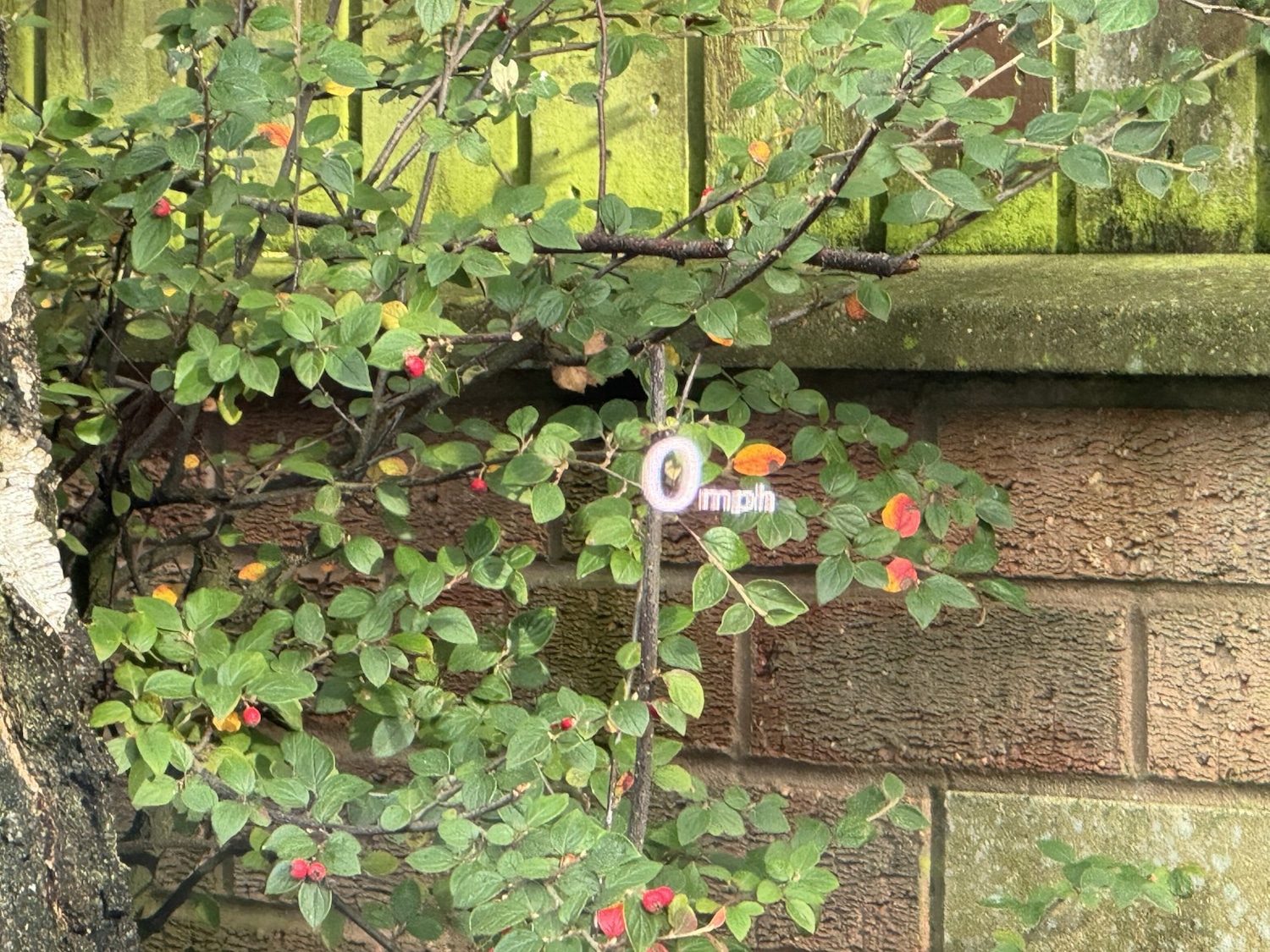 Used Audi A7 2015 for sale - 76482929: Photo 15