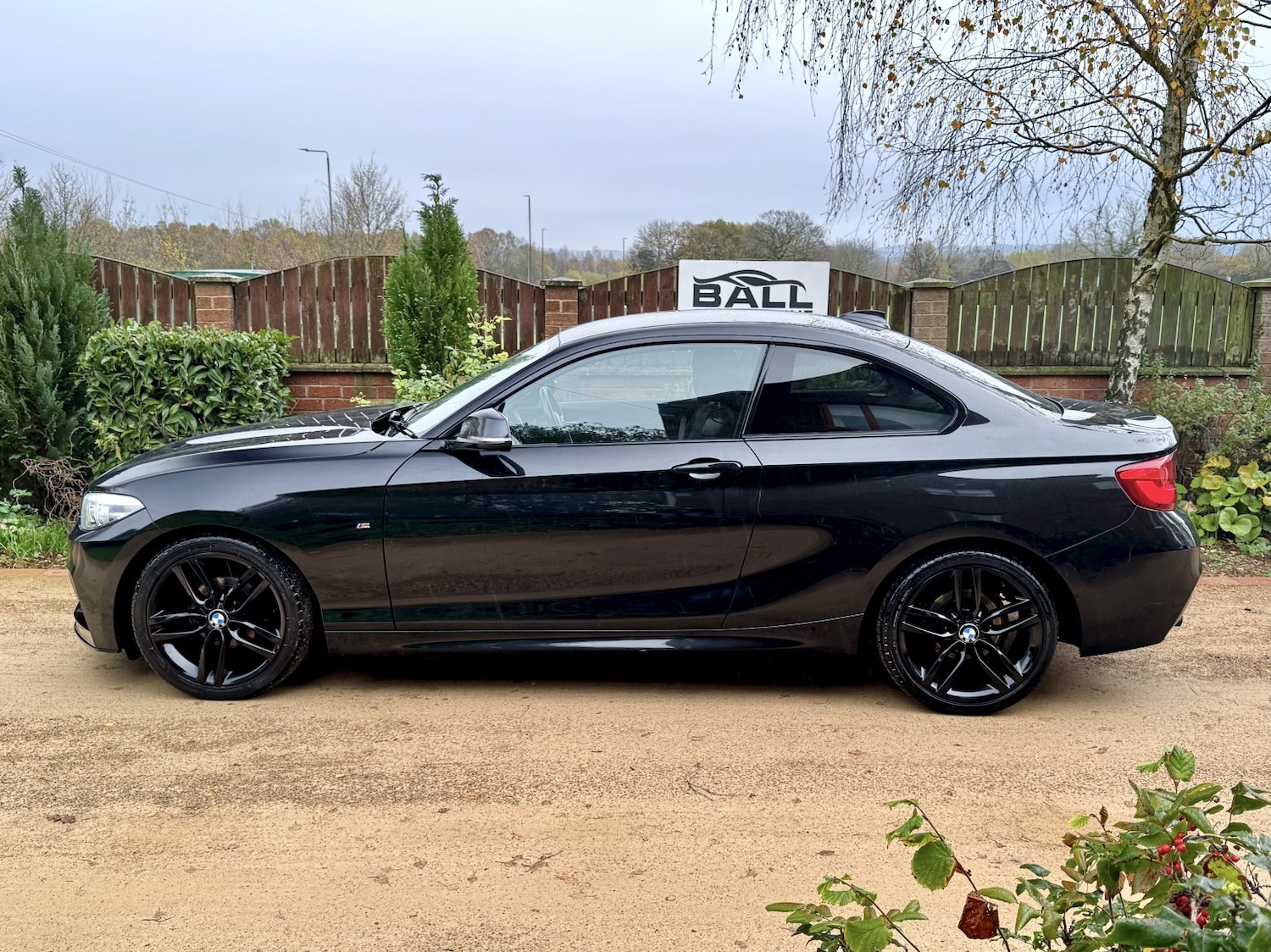 Used BMW 2 Series 2018 for sale - 76687191: Photo 2