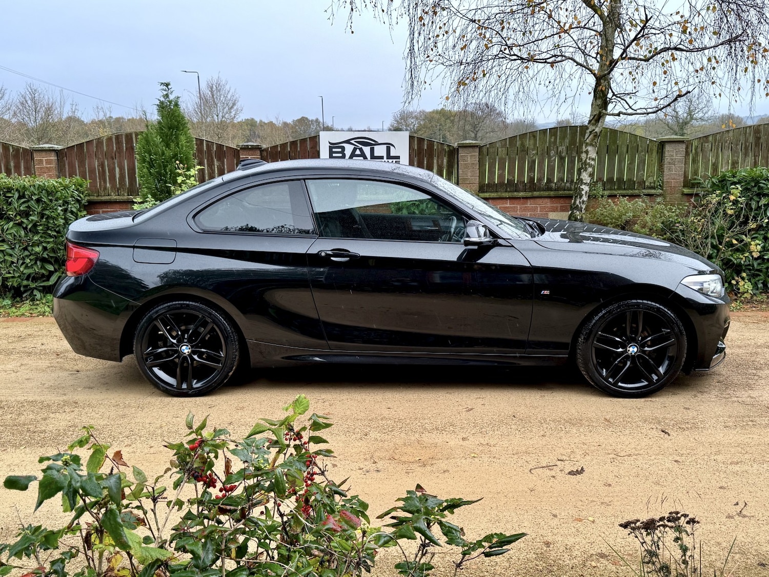 Used BMW 2 Series 2018 for sale - 76687191: Photo 6