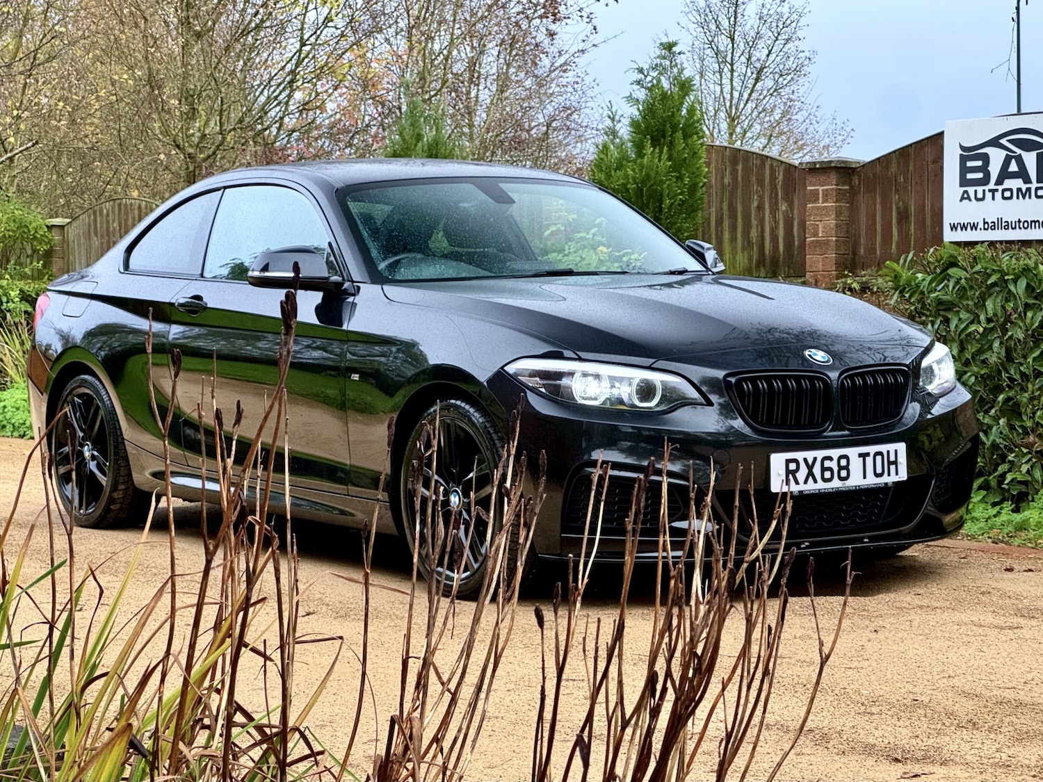 Used BMW 2 Series 2018 for sale - 76687191: Photo 8