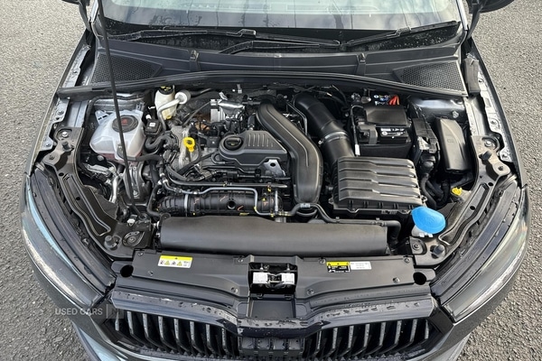 Used Skoda Fabia 2024 for sale - 77292623: Photo 20