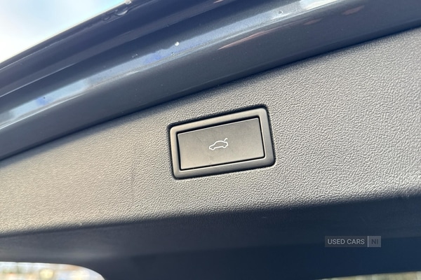 Used Volkswagen Tiguan 2025 for sale - 76914048: Photo 19