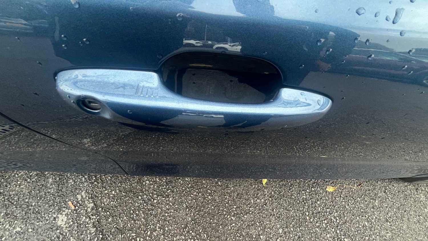 Used Ford Focus 2022 for sale - 76460612: Photo 12