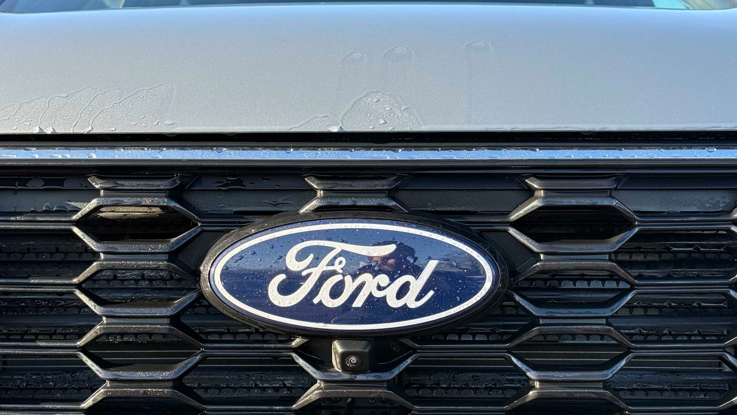 Used Ford Kuga 2024 for sale - 76705044: Photo 13