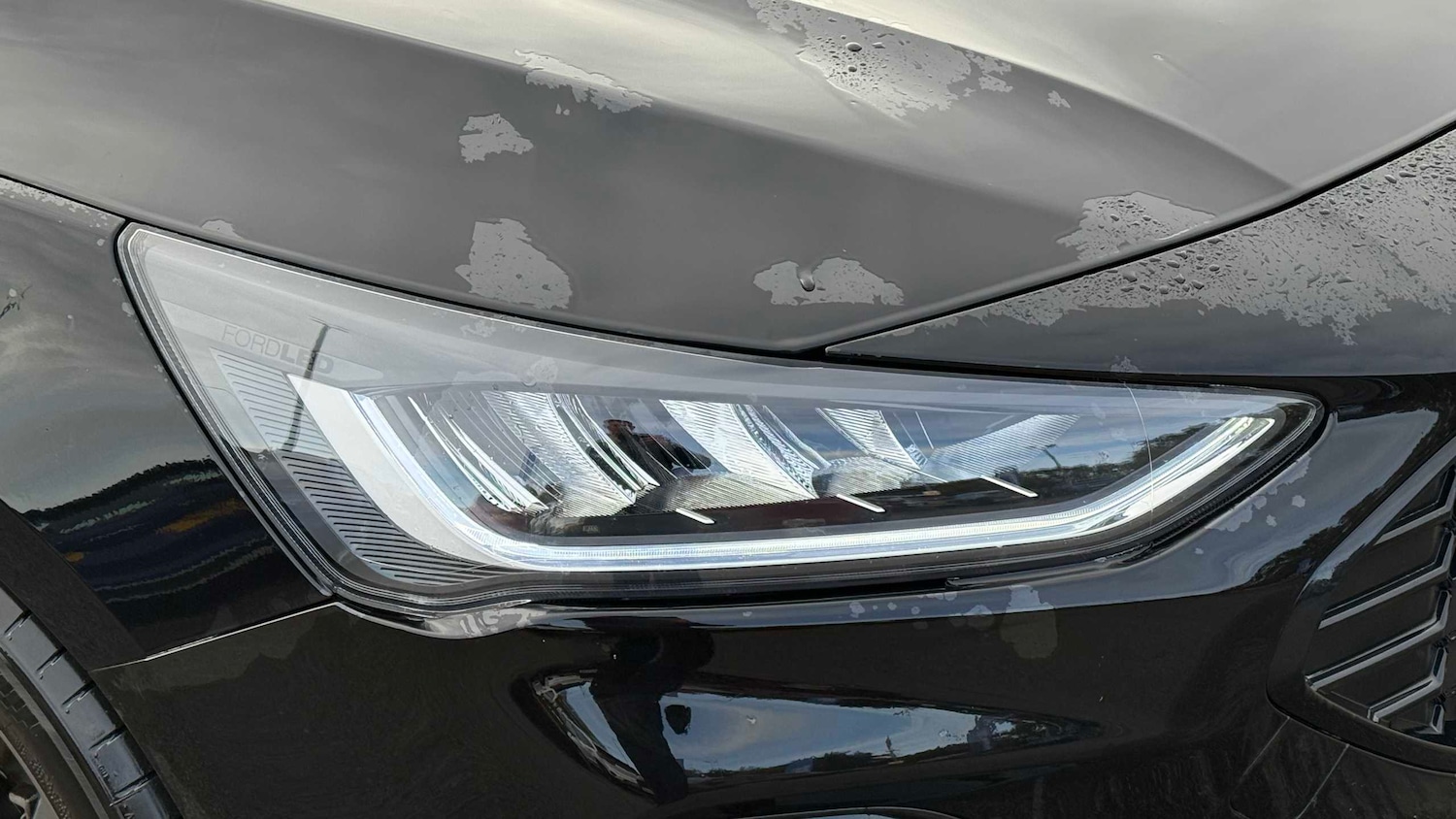 Used Ford Focus 2023 for sale - 76421150: Photo 13