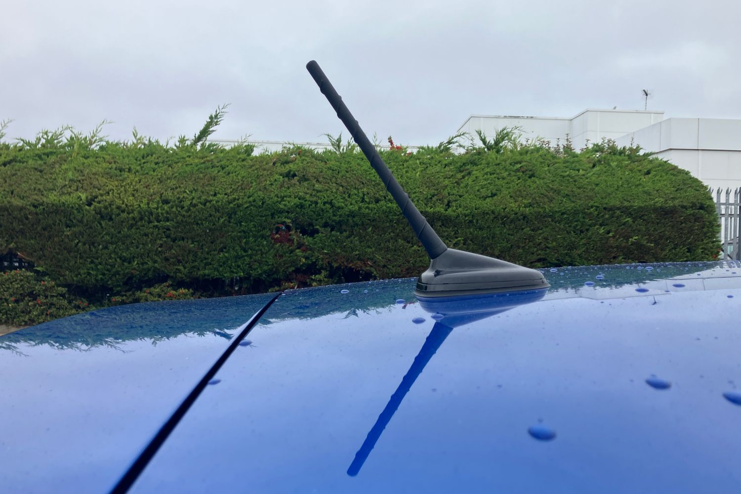 Used SEAT Ibiza 2023 for sale - 76675632: Photo 25