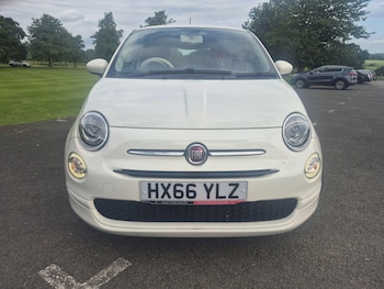 Used Fiat 500 2016 for sale - 79076011: Photo