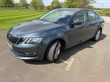 Used Skoda Octavia 2019 for sale - 78416042: Photo