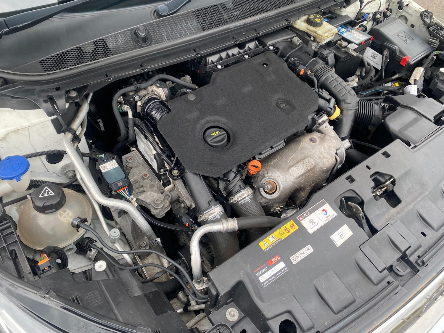 Used Peugeot 308 2020 for sale - 78180397: Photo 20