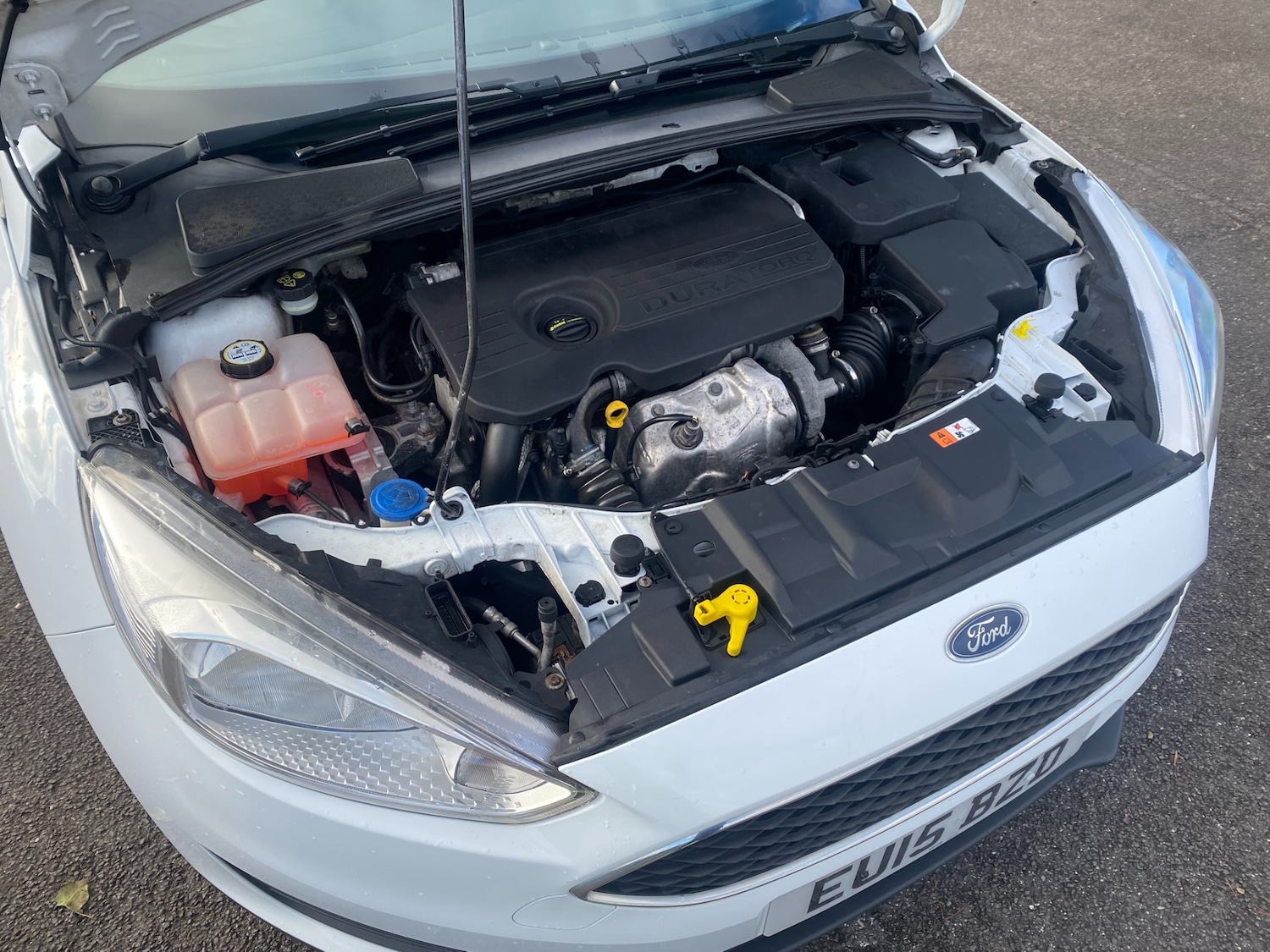 Used Ford Focus 2015 for sale - 77610131: Photo 17