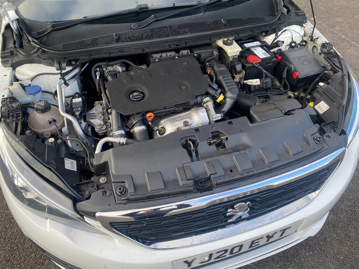 Used Peugeot 308 2020 for sale - 77610128: Photo 17