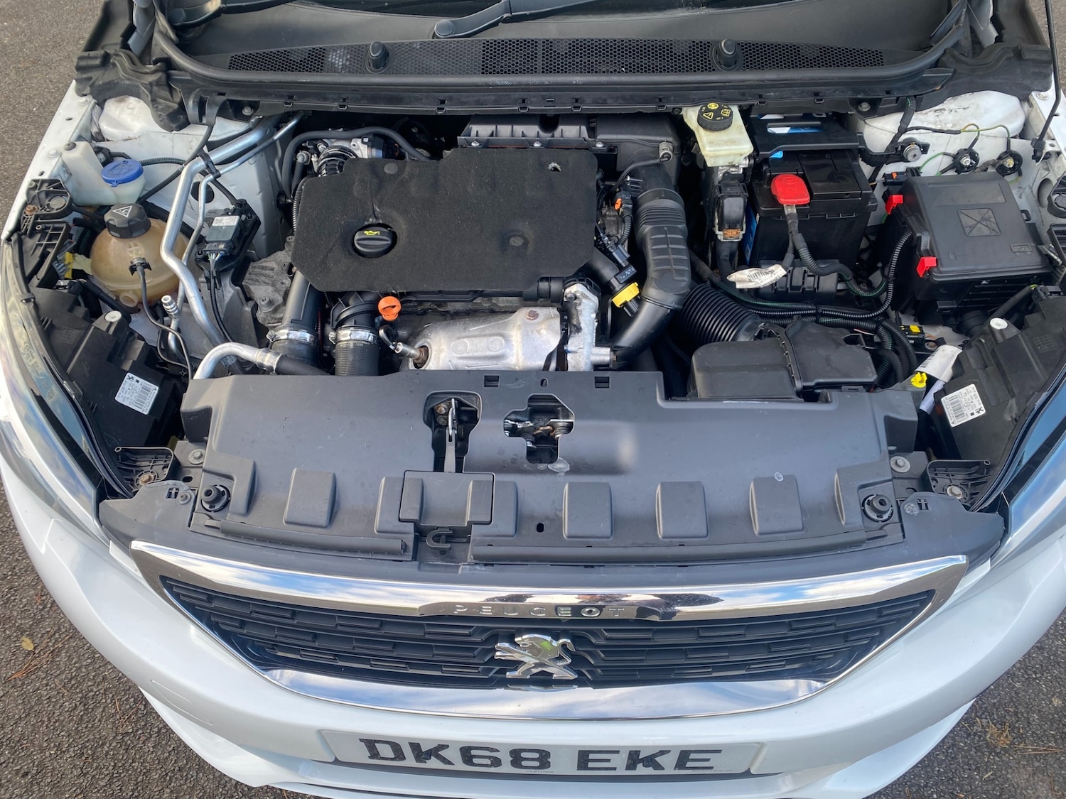 Used Peugeot 308 2019 for sale - 77610120: Photo 11