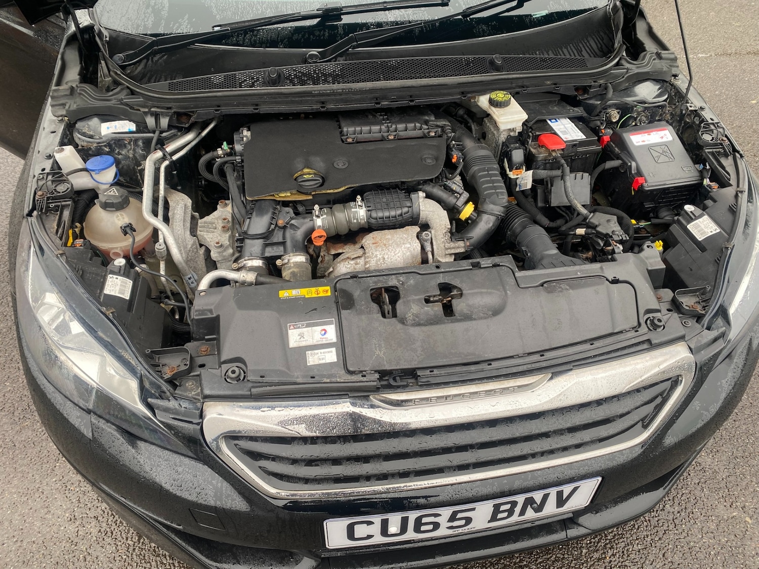 Used Peugeot 308 2016 for sale - 77504132: Photo 14