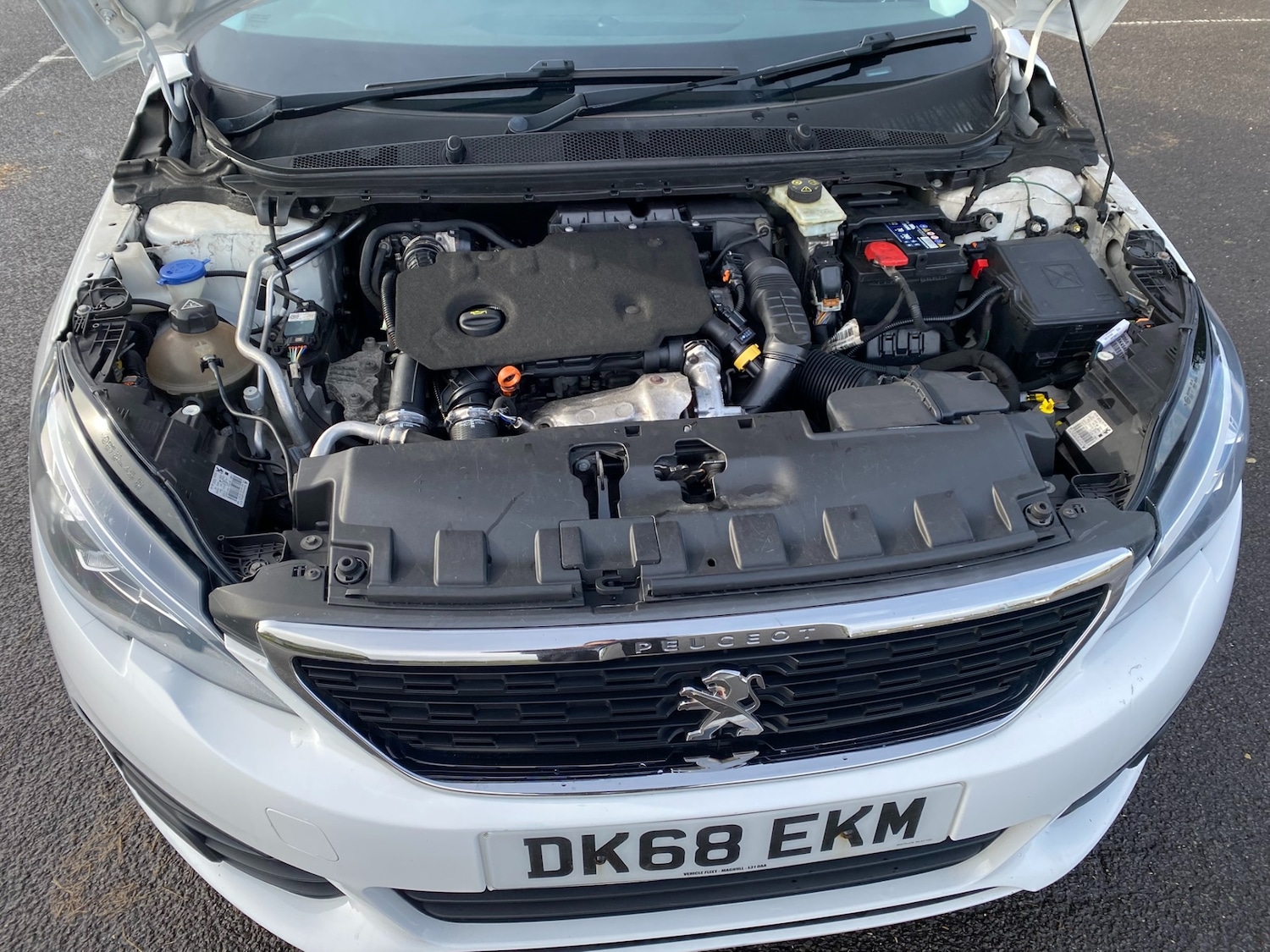 Used Peugeot 308 2019 for sale - 77547746: Photo 22