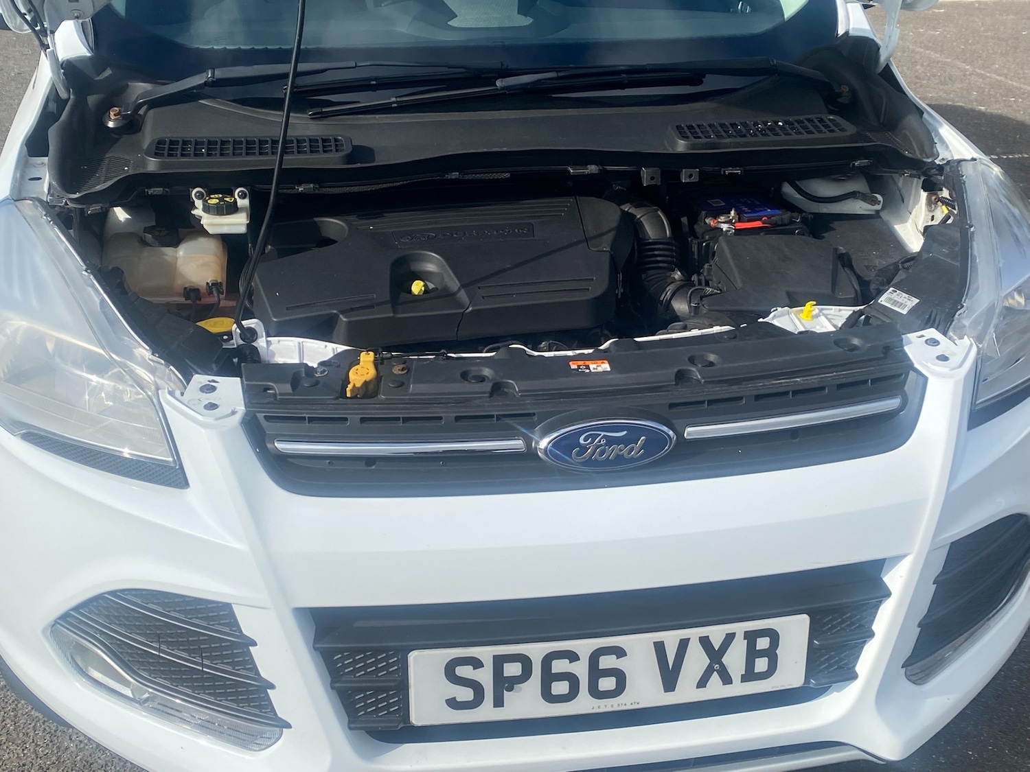 Used Ford Kuga 2017 for sale - 77720571: Photo 26