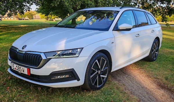 Used Skoda Octavia 2021 for sale - 75548103: Photo 17
