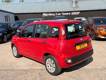 Used Fiat Panda 2016 for sale - 79777506: Photo