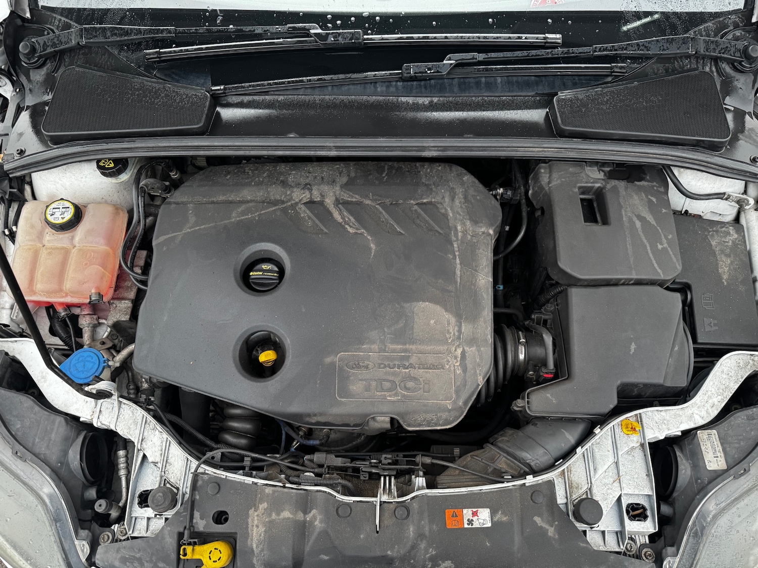 Used Ford Focus 2012 for sale - 77640339: Photo 16