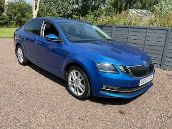 Used Skoda Octavia 2018 for sale - 79177483: Photo
