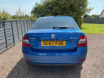 Used Skoda Octavia 2018 for sale - 79177483: Photo