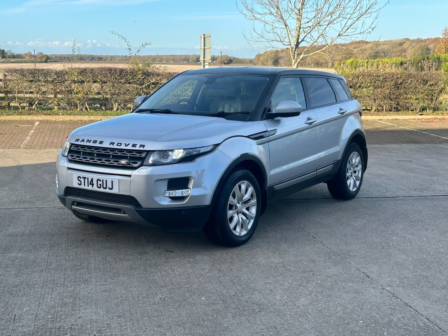 Used Land Rover Range Rover Evoque 2014 for sale - 76577184: Photo 6