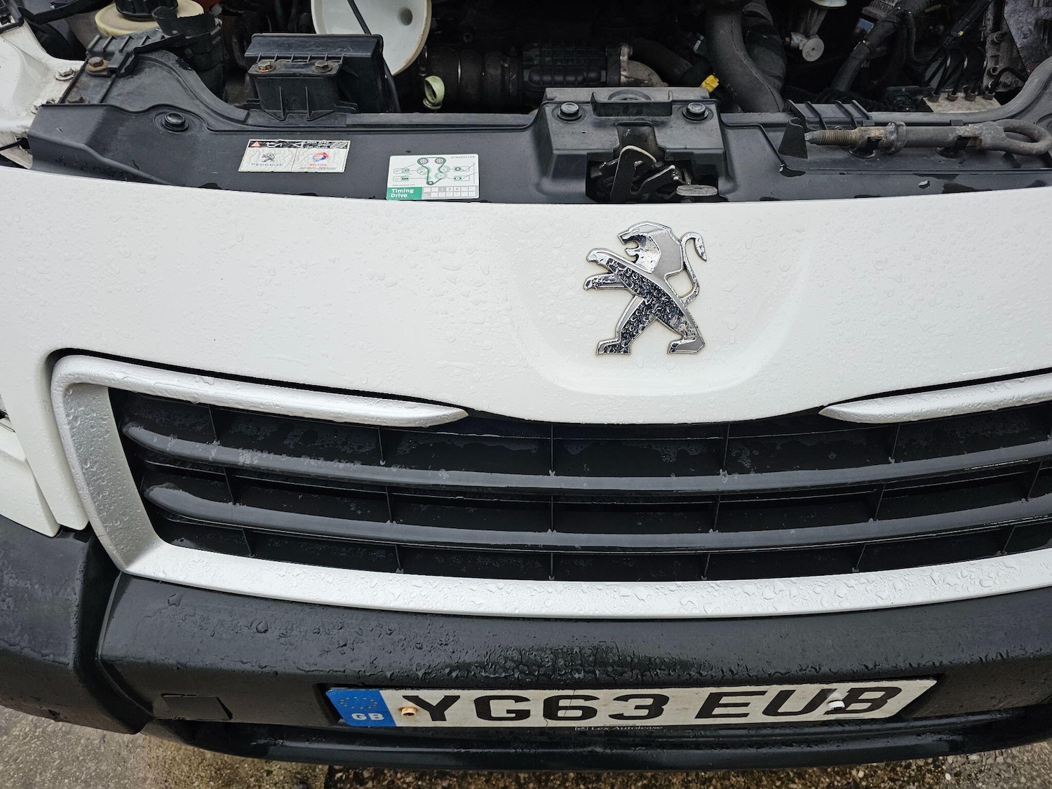 Used Peugeot Expert for sale - 76855758: Photo 12