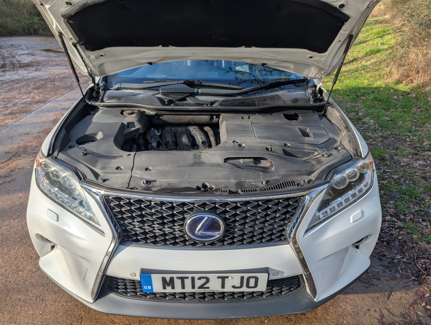 Used Lexus RX 2012 for sale - 77397078: Photo 13