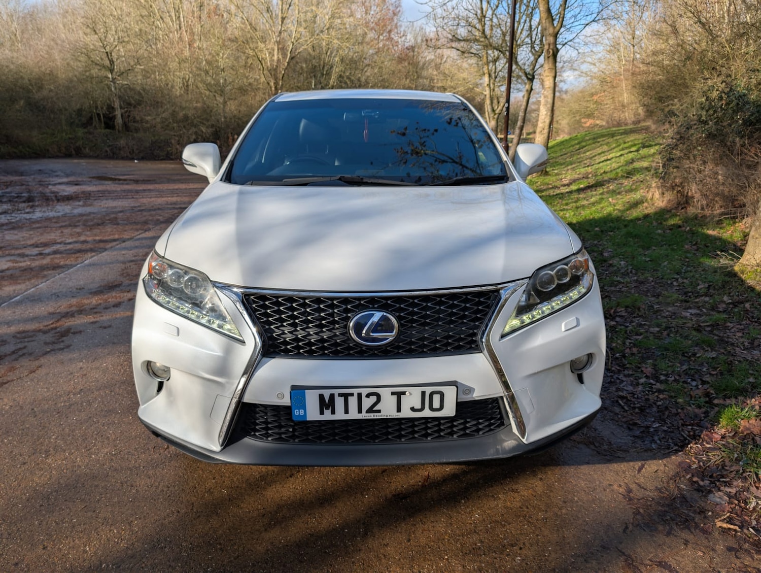 Used Lexus RX 2012 for sale - 77397078: Photo 2